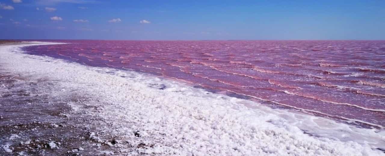 Лемурійське озеро - унікальне солоне рожеве озеро в Херсонській області