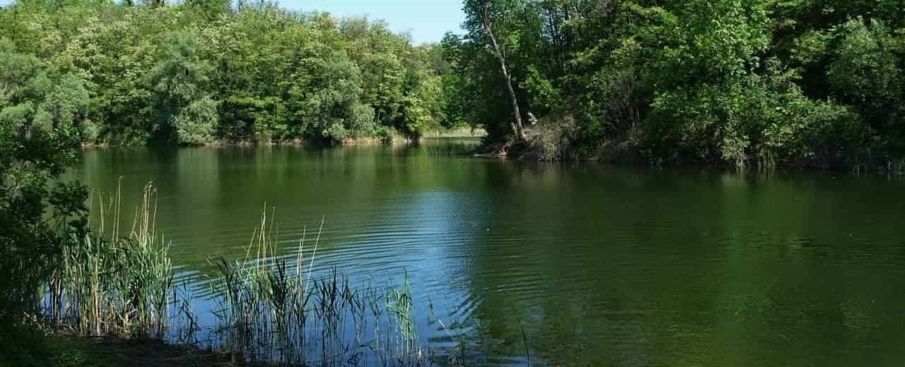 Озеро в Халеп'ї - мальовниче місце для тих, хто хоче випробувати удачу.