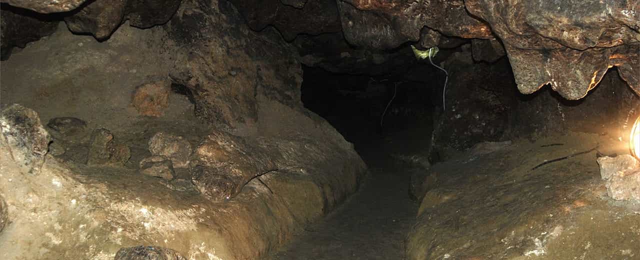 Довжина Кришталевої печери - понад 20 кілометрів, проте шлях екскурсії займає лише 2 кілометри. Перші 500 метрів печери - це темний і вузький хід, після якого відкриваються всі таємниці цього місця. Печера поділена на тематичні зали - приміром, Зоологічна