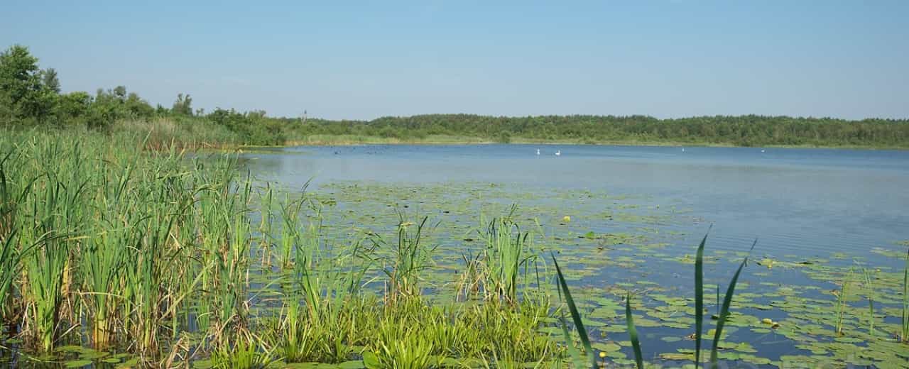 Озеро Луки є природним карстовим утворенням, розташованим у Шацькому районі Волинської області