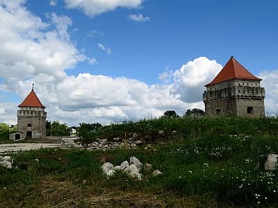 Цікаве та красиве історичне місце, розташоване на заході України, куди поїхати неодмінно варто. Більшість замку відновлено, при цьому оборонні вежі збереглися практично в первозданному вигляді. Популярний історичний об'єкт серед мандрівників.