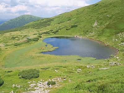  Озеро Несамовите - місце з красивою природою, чистою водою та чарівною атмосферою. Тут можна відчути себе по-справжньому спокійним та розслабленим.