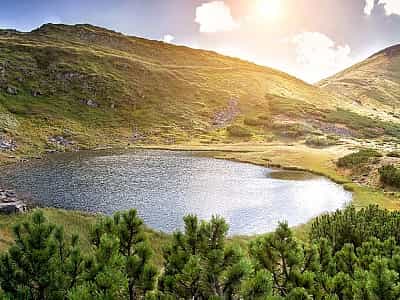  Озеро Несамовите - місце з красивою природою, чистою водою та чарівною атмосферою. Тут можна відчути себе по-справжньому спокійним та розслабленим.