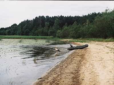 Нобель - чисте озеро для чудової риболовлі та сімейного відпочинку в Рівненській області