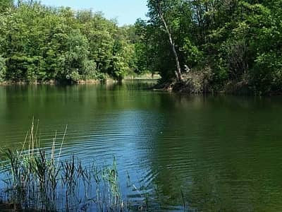 Озеро в Халеп'ї - мальовниче місце для тих, хто хоче випробувати удачу.