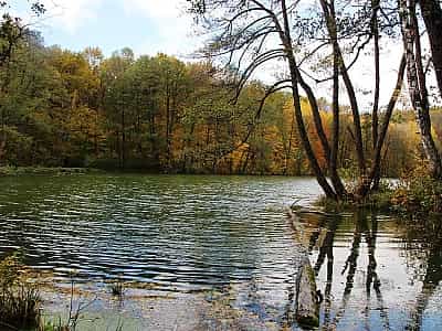 Краса пейзажів Шелехівського озера варті того, щоб побачити їх на власні очі.