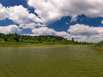 Озеро Світязь – найглибше озеро України.