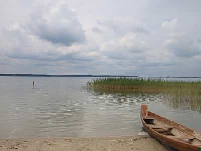 озеро Світязь – найбільше та найглибше в Україні, через що його по праву можна називати Шацьким морем. 