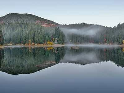 Озеро оточене лісом і є частиною Національного природного парку "Синевир", в якому озеро та всі рідкісні рослини довкола ретельно оберігаються. 