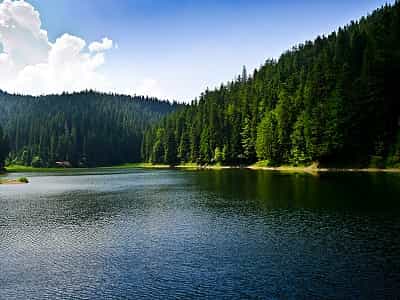  Озеро Синевир - пам'ятка природи, яка дуже ретельно охороняється, тому купатися та ловити рибу тут заборонено.