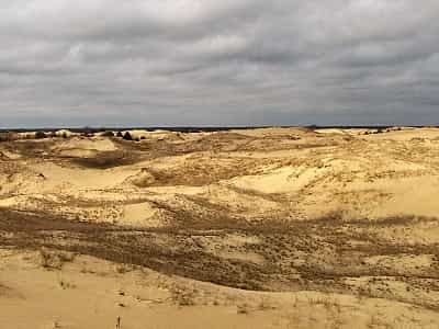 Олешківські піски - найбільший піщаний масив у Європі. Також його називають Олешківськими або Альошкінськими пісками.