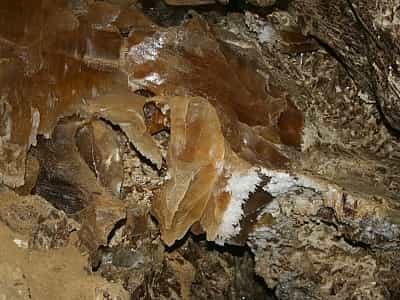 Печерні мінеральні утворення в печері Оптимістична