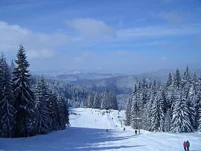 Гірськолижний комплекс "Захар Беркут" пропонує відпочивальникам великий набір зимових розваг та понад 9000 метрів снігових трас. 