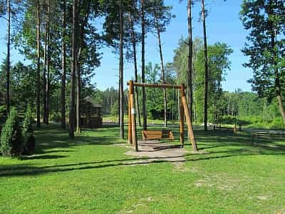 Знаходиться музей лісу в Рівненській області, на заході України. 