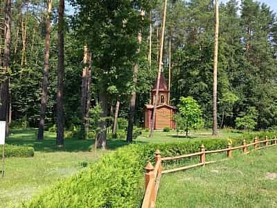 Одним із незвичайних і цікавих місць в Україні є Костопільський музей лісу, в якому неодмінно варто побувати. Вам пропонується ознайомитися з історією, діяльністю та успіхами шістнадцяти лісових господарств, що знаходяться в Рівненській області. 