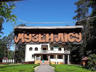 "Музей лісу" музей про лісове господарство в Рівненській області