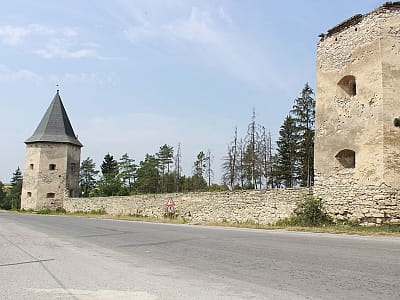 Кривченський замок в Тернопільській області