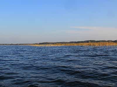 Пулемецьке озеро є популярним місцем для відпочинку та туризму. Багато людей, як місцевих мешканців, так і туристів з сусідніх сіл та міст відвідують його для приємного та затишного відпочинку.