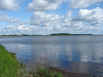 Озеро Люб'язь є унікальною водною екосистемою, яка приваблює як місцевих жителів, так і туристів, і надає унікальне середовище для різноманітних видів життя.