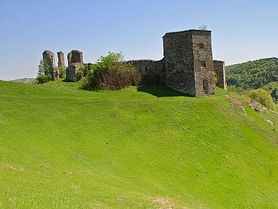 На вузькій скелі, що розташована над рікою Збруч, відомою як Стрілка, у 16 столітті було споруджено унікальне укріплення. Укріплення належали відомому роду Гербертів.