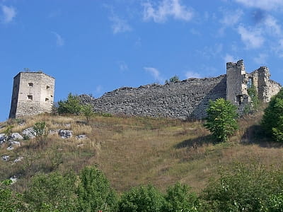  У селі Кудринці, неподалік річки Збруч, розташовані надзвичайно живописні руїни замку Гербуртів, які відносяться до найчарівніших на західній частині Україні.