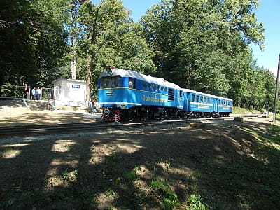Закарпатська (Ужгородська) дитяча залізниця