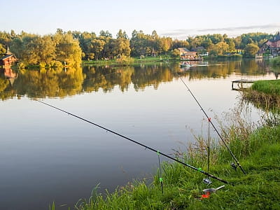 Риболовля в заміському-комплексі відпочинку "Шепільська" в Львівській області