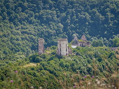 Залишки колись величного Червоногородського замку, що було перебудовано в розкішний палац в мальовничому каньйоні річки Джурин тернопільської області.