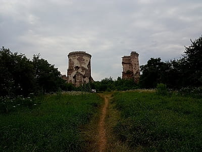 Руїни Червоногородського палацу в селі Нирків