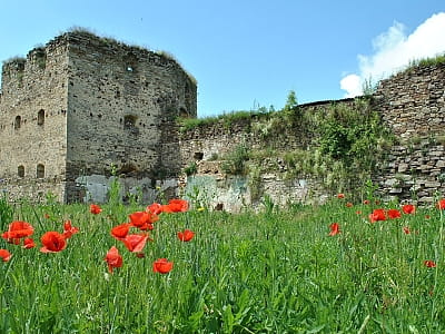 Руїни замку в селі Золотий Потік на Тернопільщині