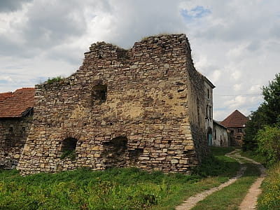 Руїни замкової вежі в селі Золотий Потік на Тернопільщині