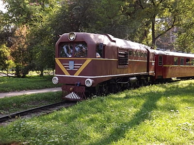Дніпровська дитяча залізниця є позашкільним початковим навчальним закладом, здатним познайомити всіх охочих, особливо учнів шкіл, із спеціальностями, що пов'язані з залізничними перевезеннями.