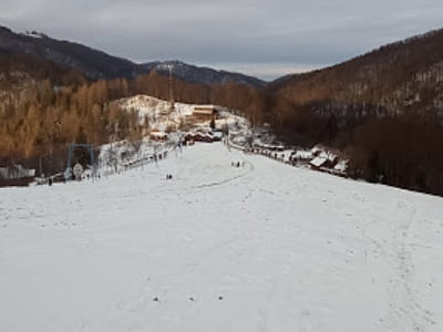 Лижний схил в гірськолижному комплексі "Перевал Німчич" в Чернівецькій області